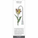 Parrot tulip bookmark with a yellow and red tulip bloom, green stem and leaves, and a white tassel.
